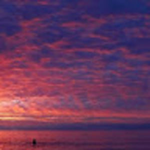 Meet your Posher, Dane